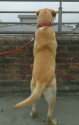 /public_uploads/items_thumbs/thumb_1778142064-1001234597.png