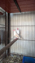 /public_uploads/items_thumbs/thumb_1778502066-1000024232.jpg