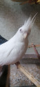 /public_uploads/items_thumbs/thumb_1780220465-IMG_20250907_174104.jpg