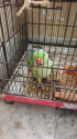 /public_uploads/items_thumbs/thumb_1780398934-1000216092.jpg