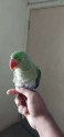 /public_uploads/items_thumbs/thumb_1780467050-6937.jpg
