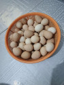 /public_uploads/items_thumbs/thumb_1780877401-1000087053.jpg
