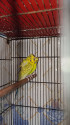 /public_uploads/items_thumbs/thumb_1780913311-56857.jpg