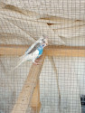 /public_uploads/items_thumbs/thumb_1782806866-IMG_20260629_175738_216.jpg