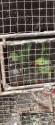 /public_uploads/items_thumbs/thumb_1784728155_6a60ca5b0951f-scaled_1000105313.jpg