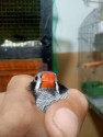/public_uploads/items_thumbs/thumb_1784757538_6a613d2219d92-scaled_IMG20260723011455.jpg