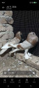 /public_uploads/items_thumbs/thumb_1784995176_6a64dd68045f1-scaled_174649.jpg