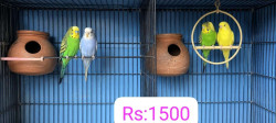 /public_uploads/items_thumbs/thumb_1785072997_6a660d65ba470-scaled_33678.jpg