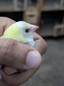 /public_uploads/items_thumbs/thumb_1785300258_6a698522eb394-scaled_283355.jpg