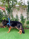 /public_uploads/items_thumbs/thumb_1788328909_6a97bbcd1d849-scaled_1688644.jpg