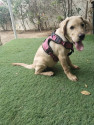 /public_uploads/items_thumbs/thumb_1788329135_6a97bcaf0d93f-scaled_1687859.jpg