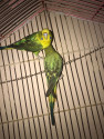 /public_uploads/items_thumbs/thumb_1788518529_6a9aa081aa344-scaled_51606.jpg