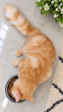 /public_uploads/items_thumbs/thumb_1788812159_6a9f1b7fc8f87-scaled_72874.jpg