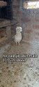 /public_uploads/items_thumbs/thumb_1788919037_6aa0bcfdf1a45-scaled_86392.jpg